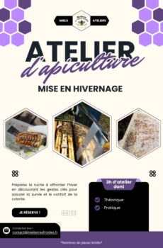 Atelier - Mise en Hivernage