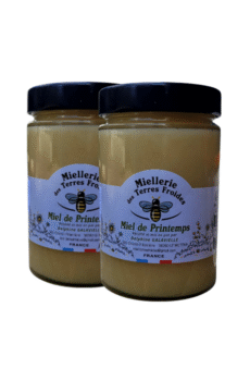 Miel de Printemps - 1 kg