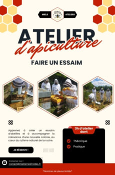 Atelier - Faire un Essaim
