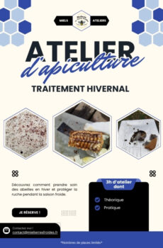Atelier - Traitement Hivernal