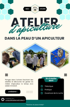 Atelier - Découverte